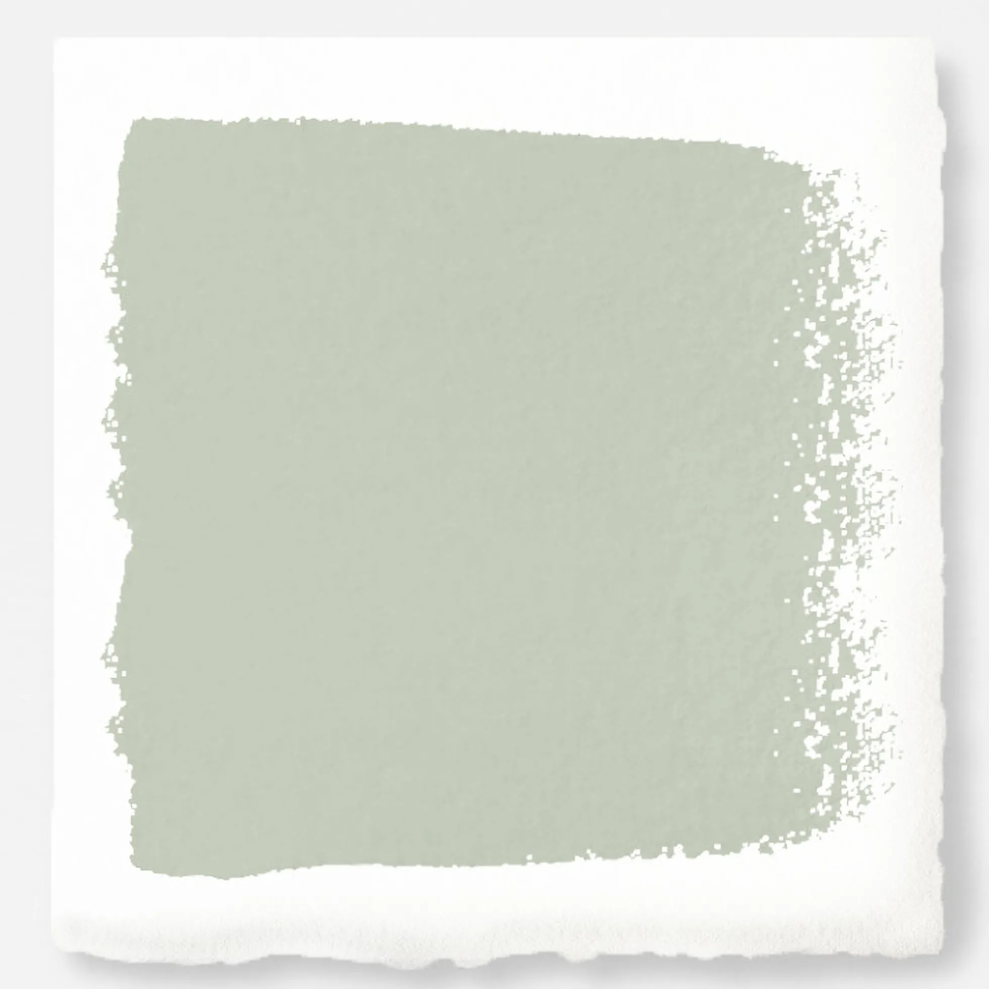 Earl Gray - Classic Interior Paint