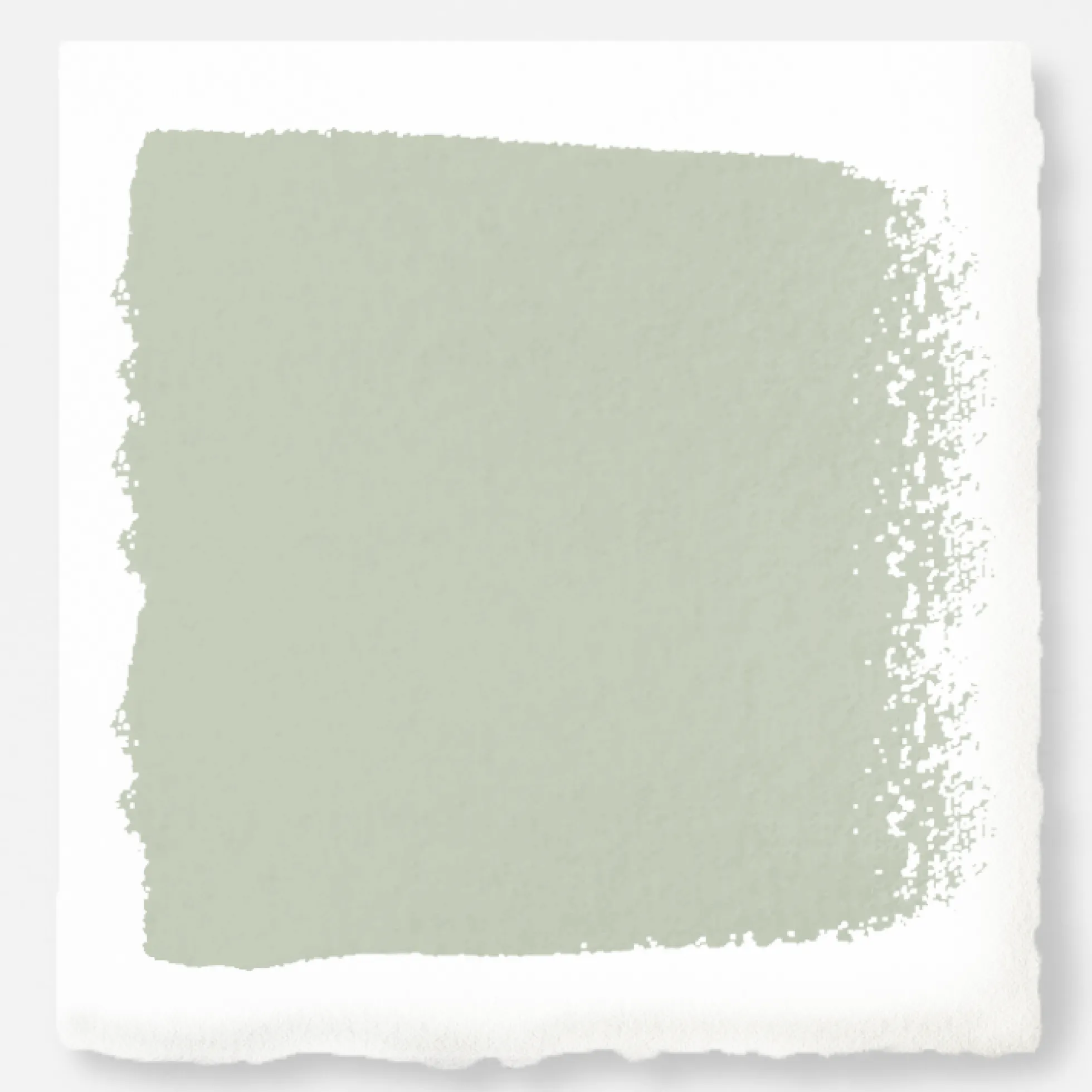 Earl Gray - Premium Interior Paint