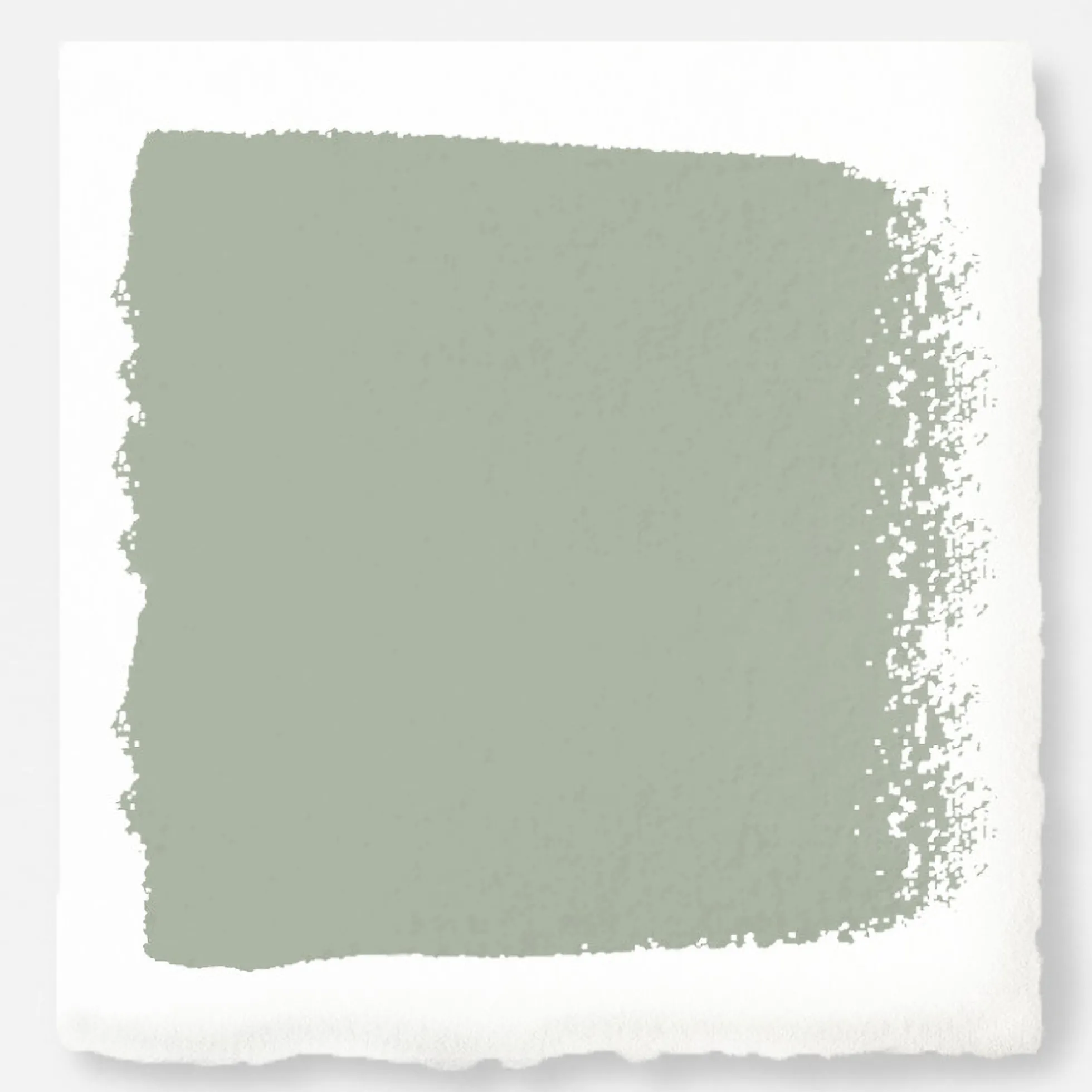 Early Riser - Classic Interior Paint