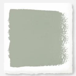 Early Riser - Premium Interior Paint