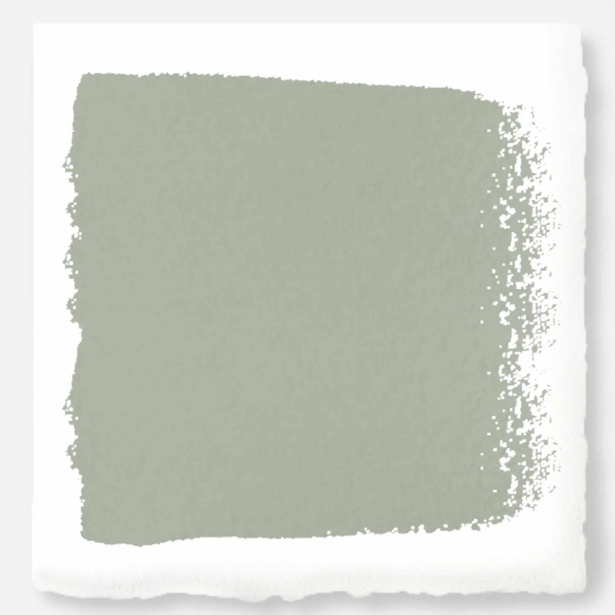 Early Riser - Premium Interior Paint