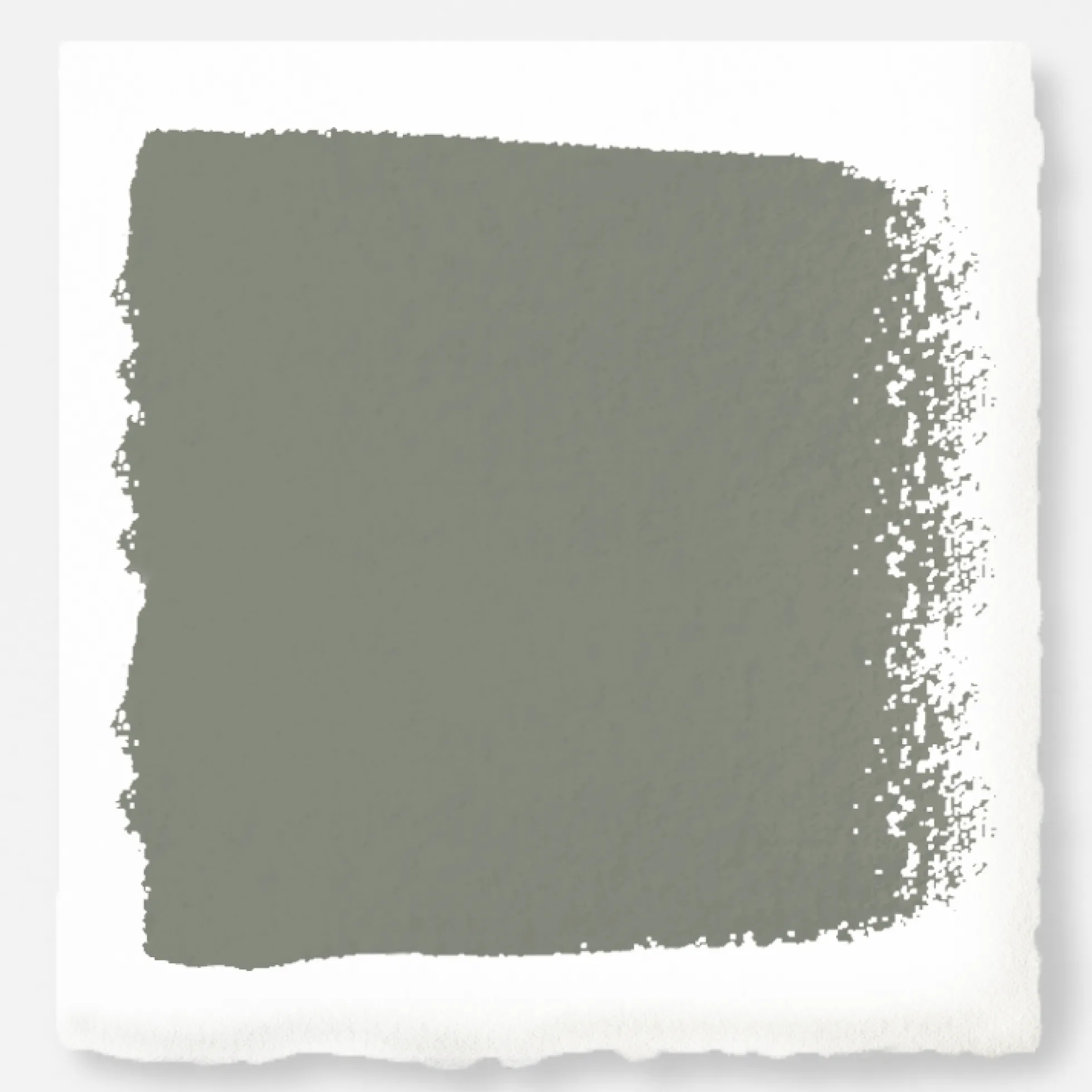 Eden - Premium Interior Paint