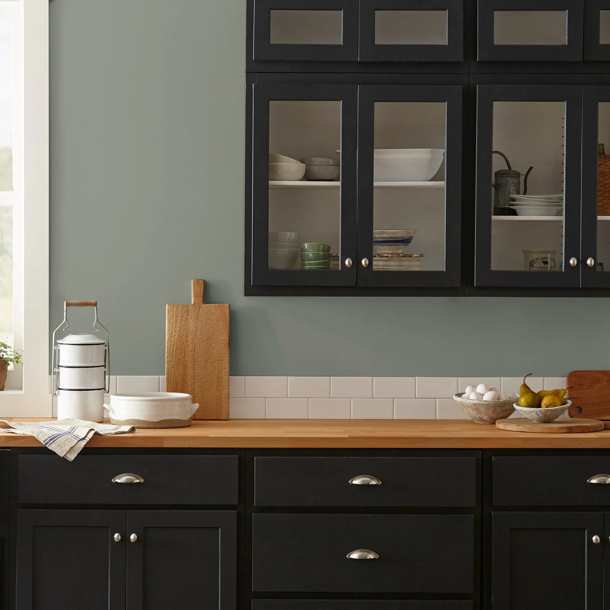 Eden - Premium Interior Paint