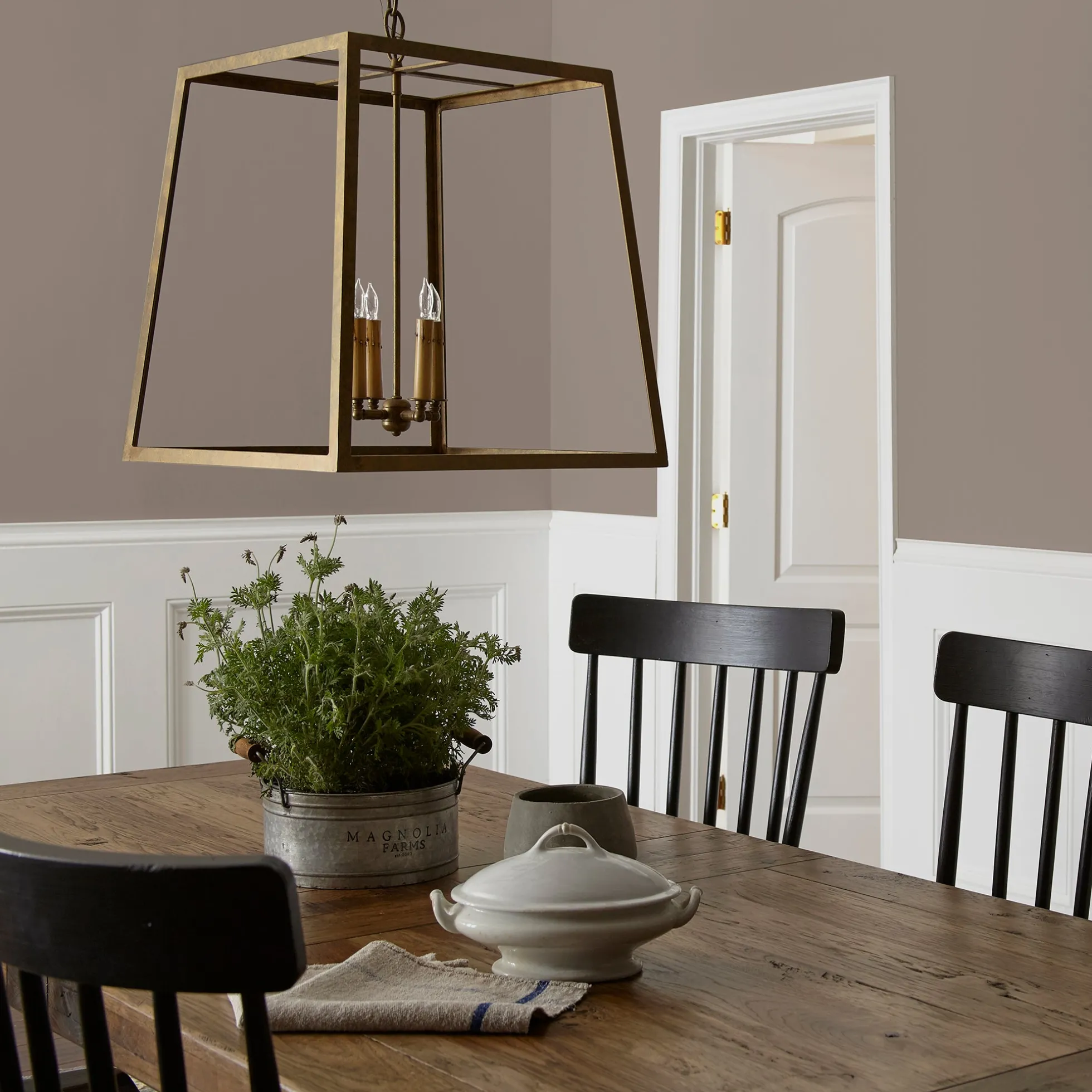 Elemental - Classic Interior Paint