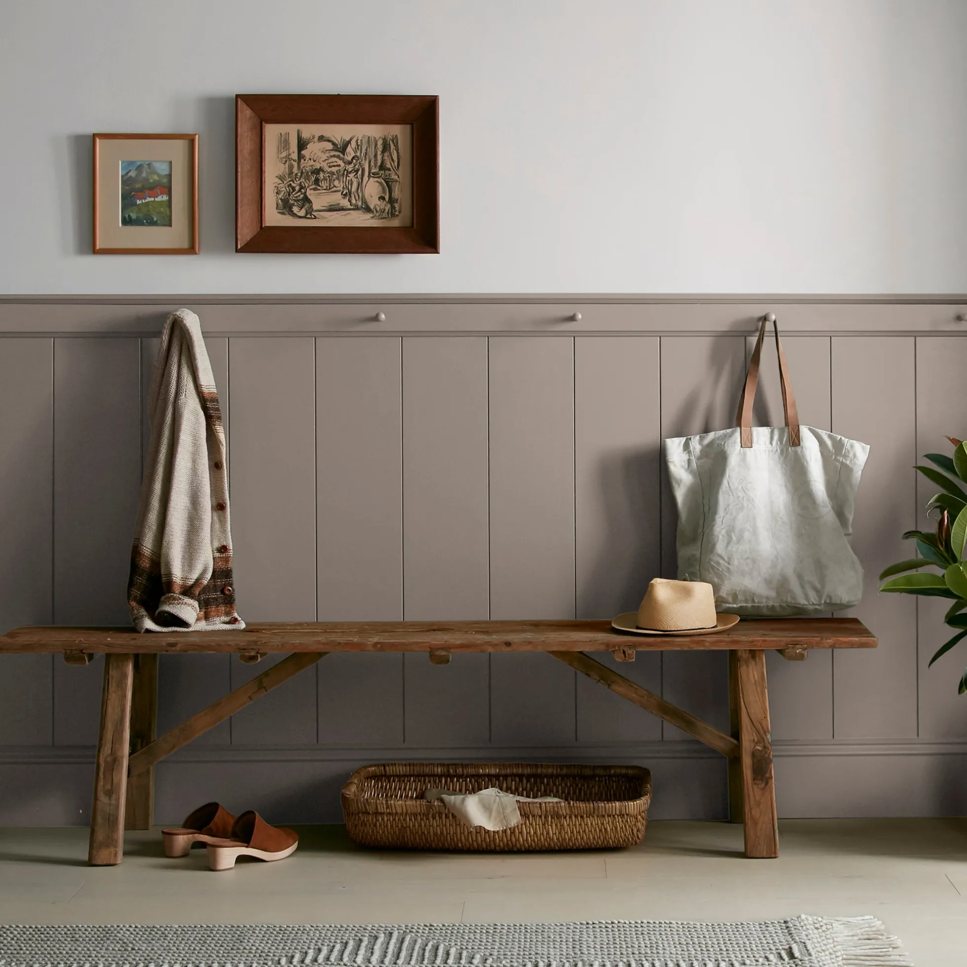 Elemental - Classic Interior Paint