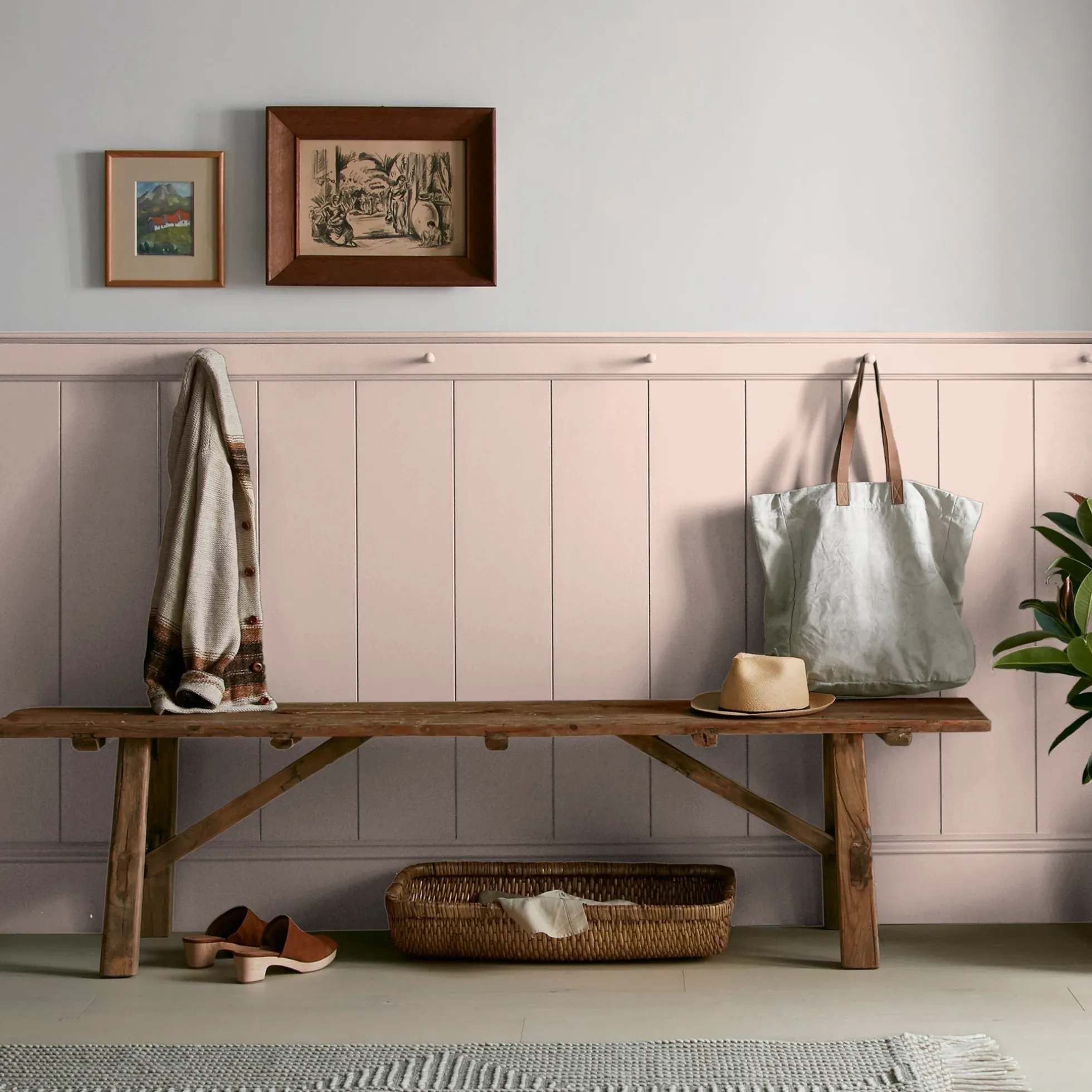 Ella Rose - Classic Interior Paint