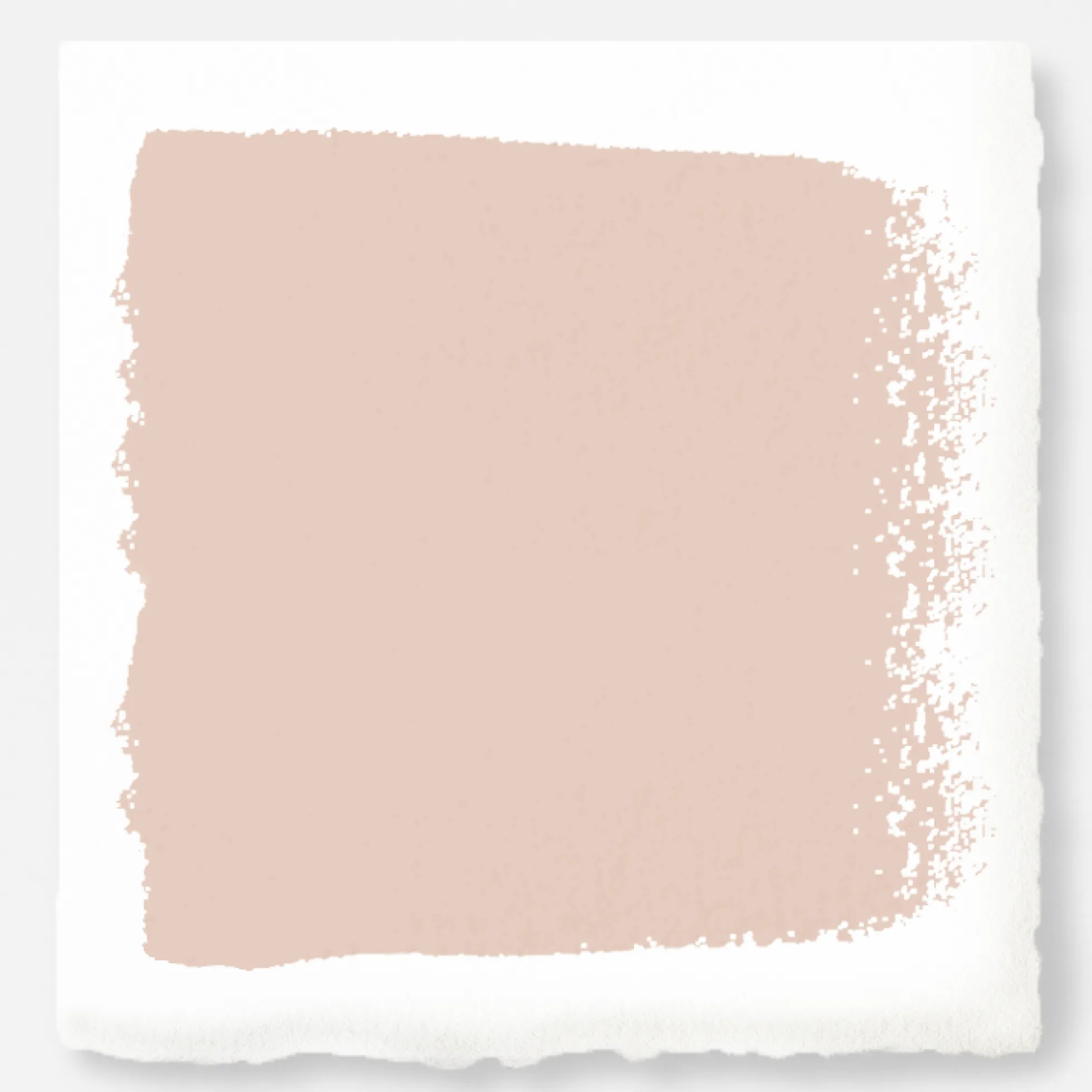 Ella Rose - Premium Interior Paint