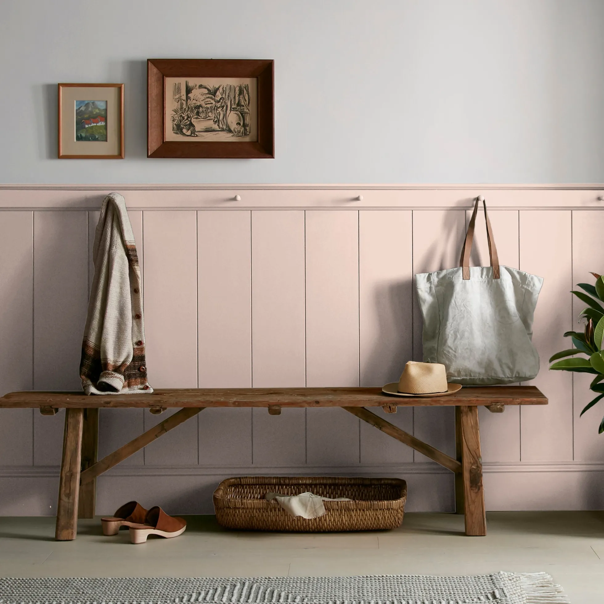Ella Rose - Premium Interior Paint