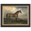 Equestrian Study