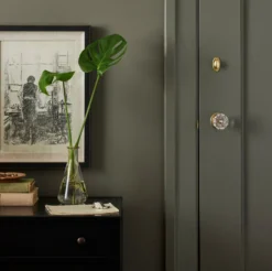 Estate - Premium Interior Paint