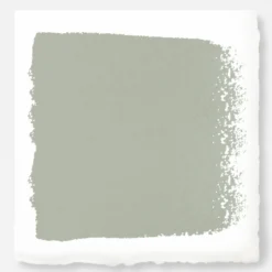Flower Jar - Premium Interior Paint