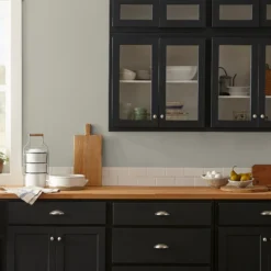 Flower Jar - Premium Interior Paint