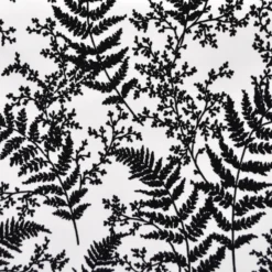 Forest Fern Wallpaper