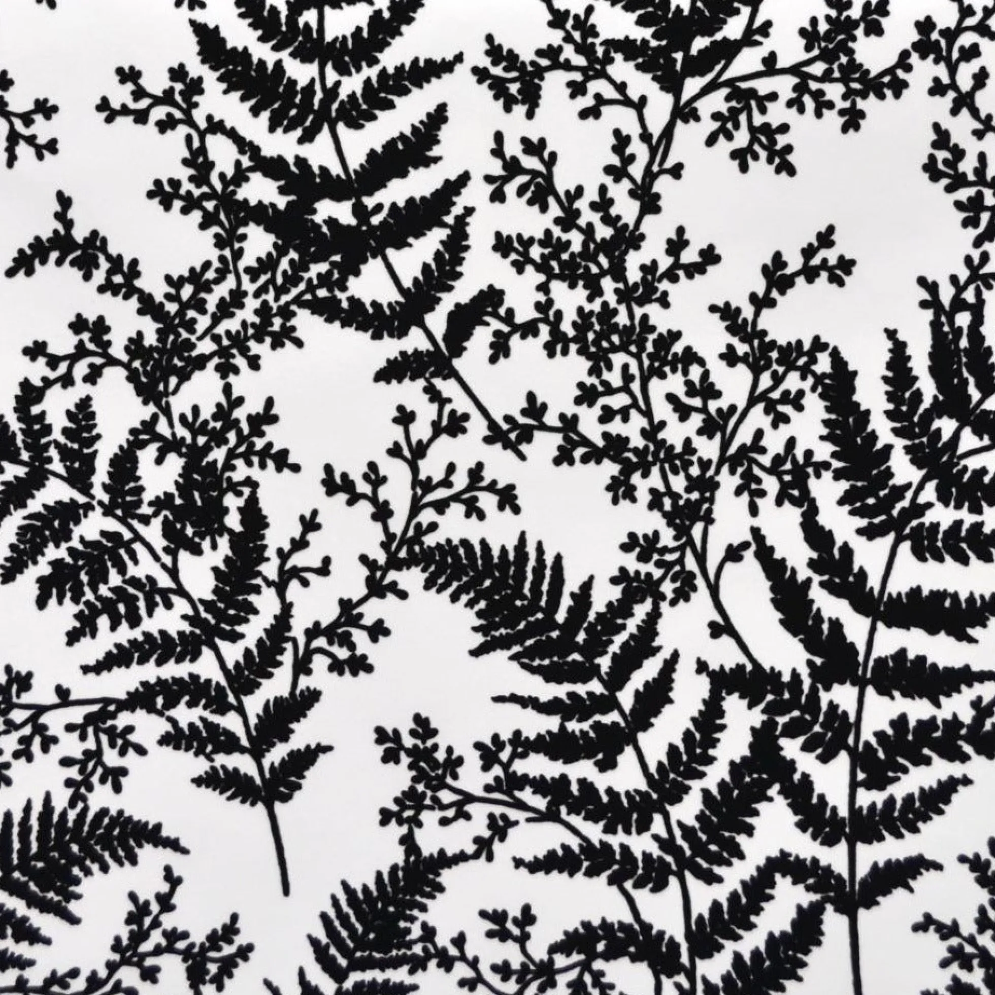 Forest Fern Wallpaper