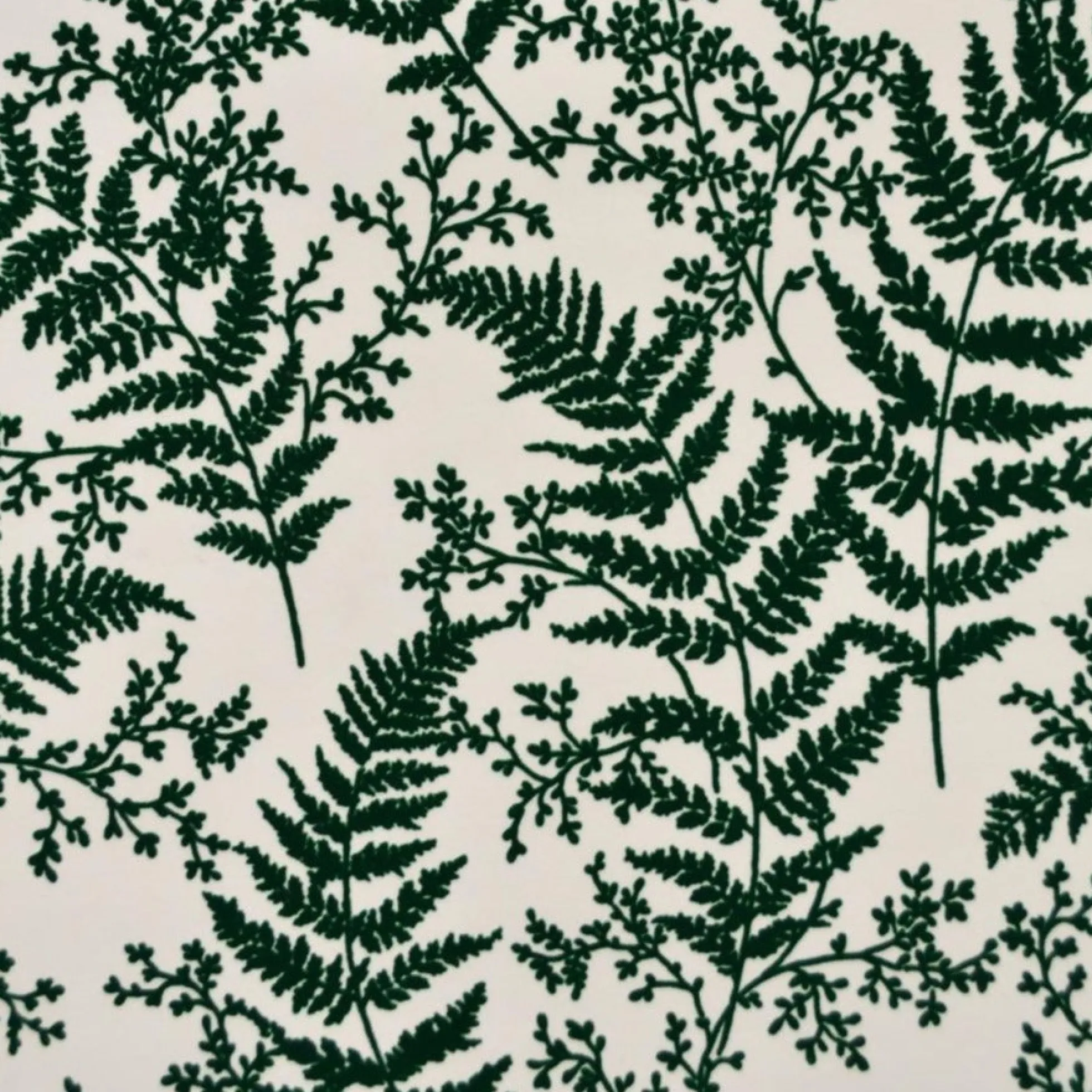 Forest Fern Wallpaper