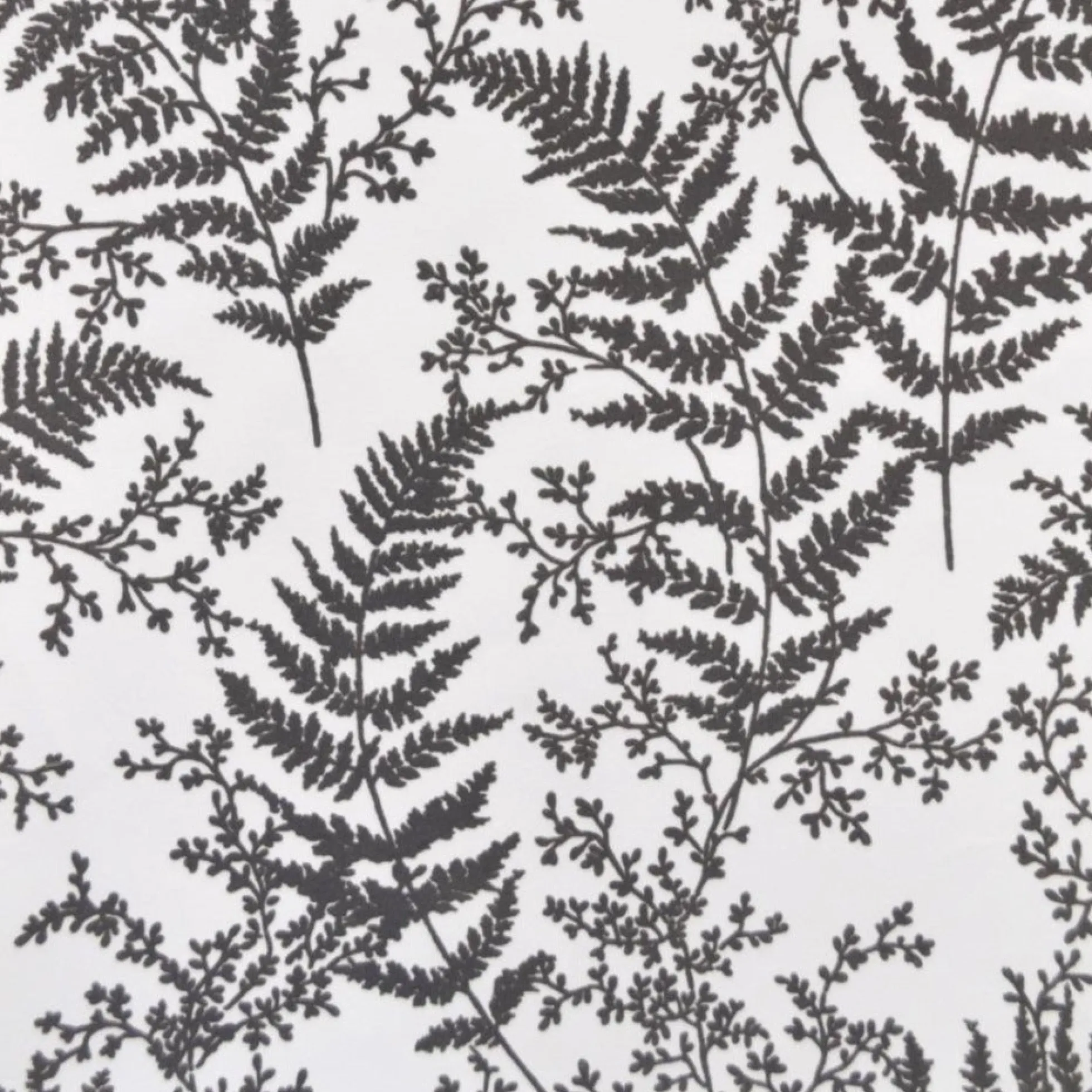 Forest Fern Wallpaper
