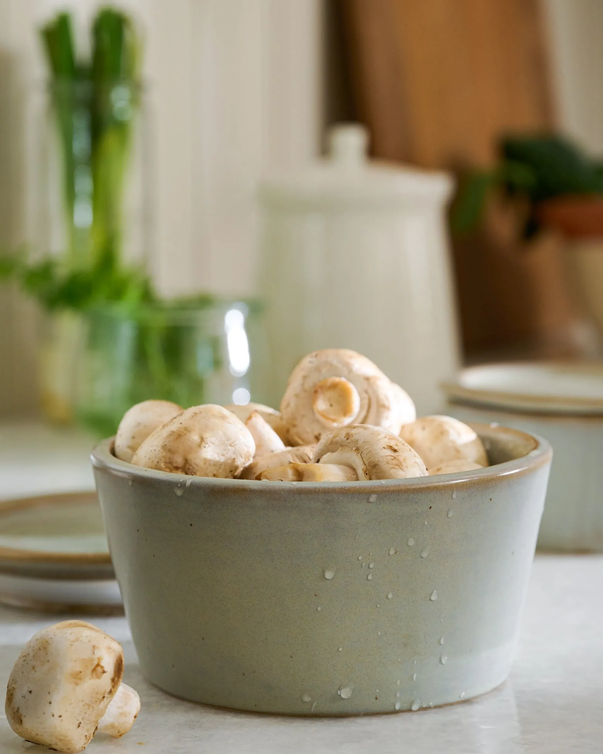 French Grey Ceramic Food Storage Bowl