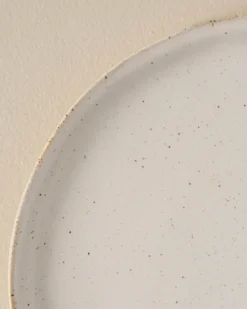 French White Speckle Plate