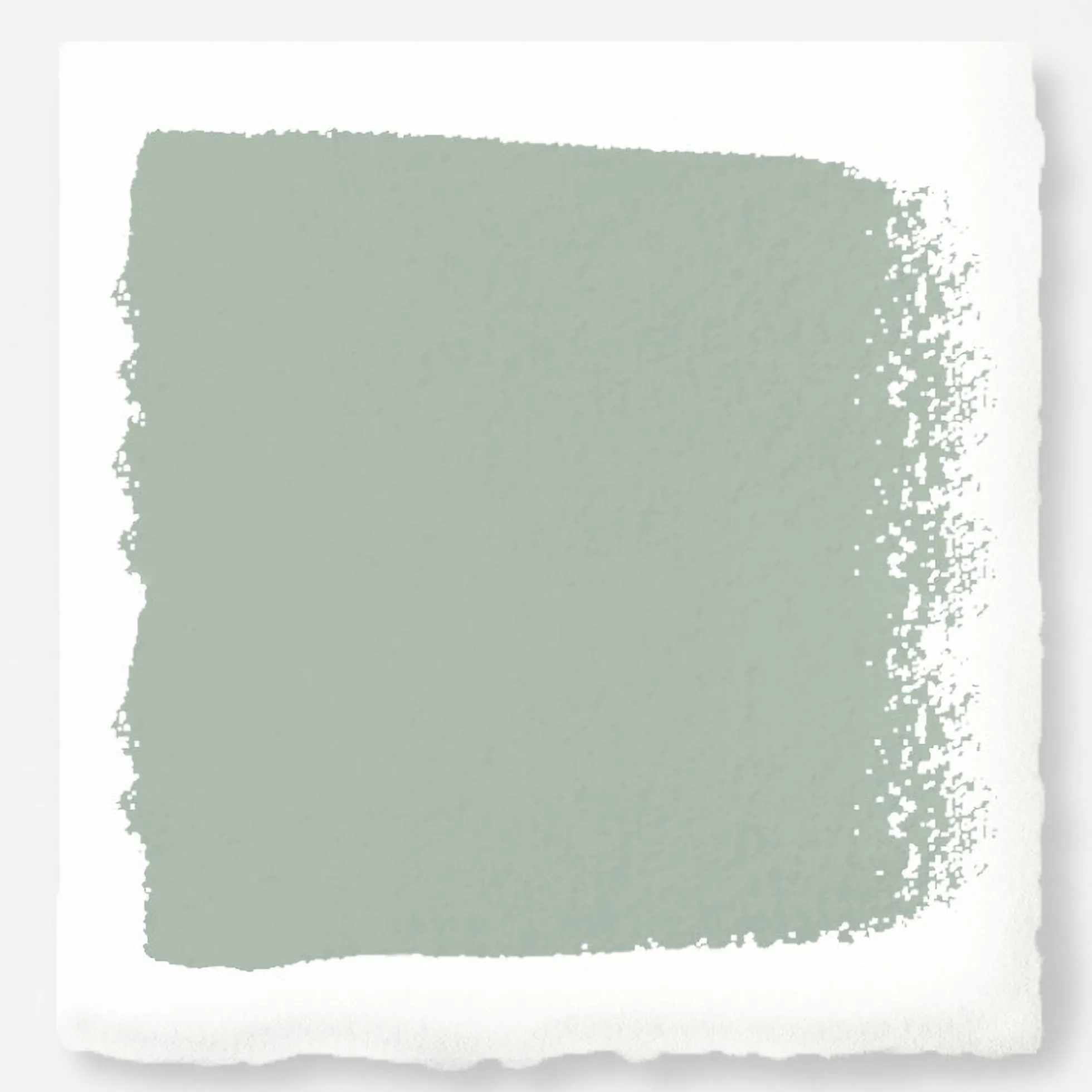 Freshly Cut Stems - Classic Interior Paint