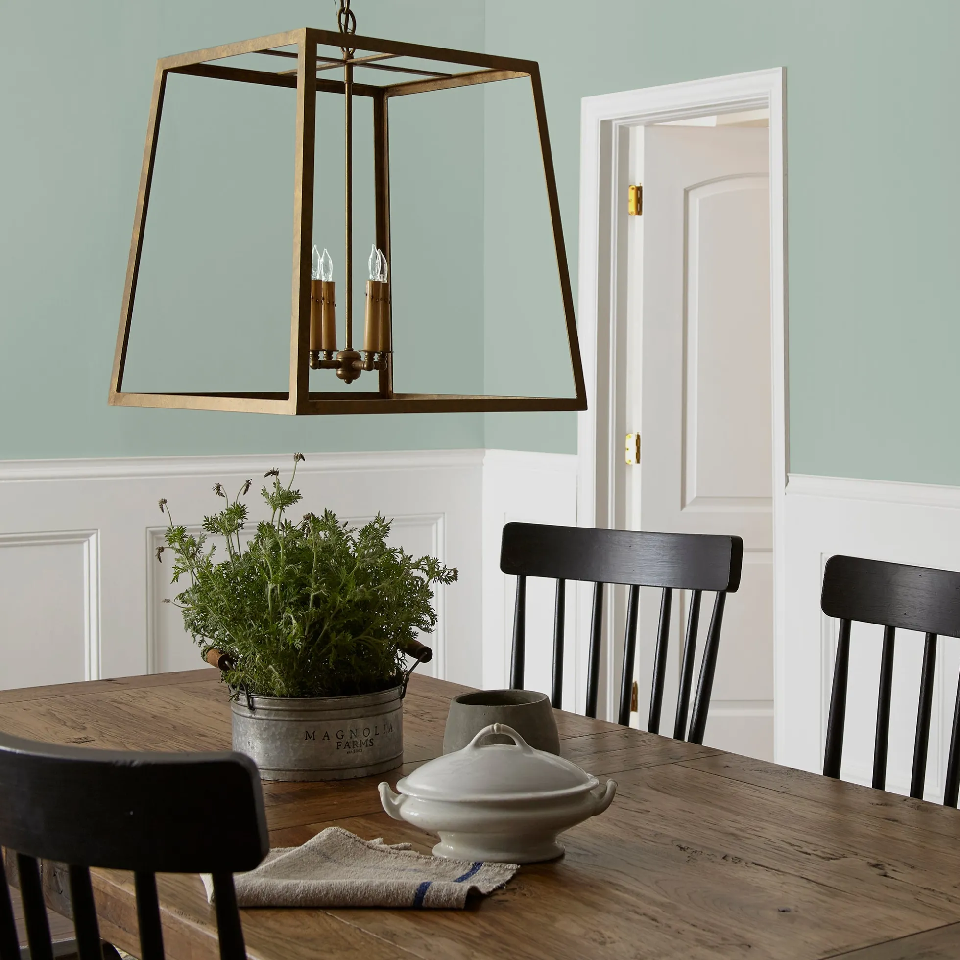 Freshly Cut Stems - Classic Interior Paint