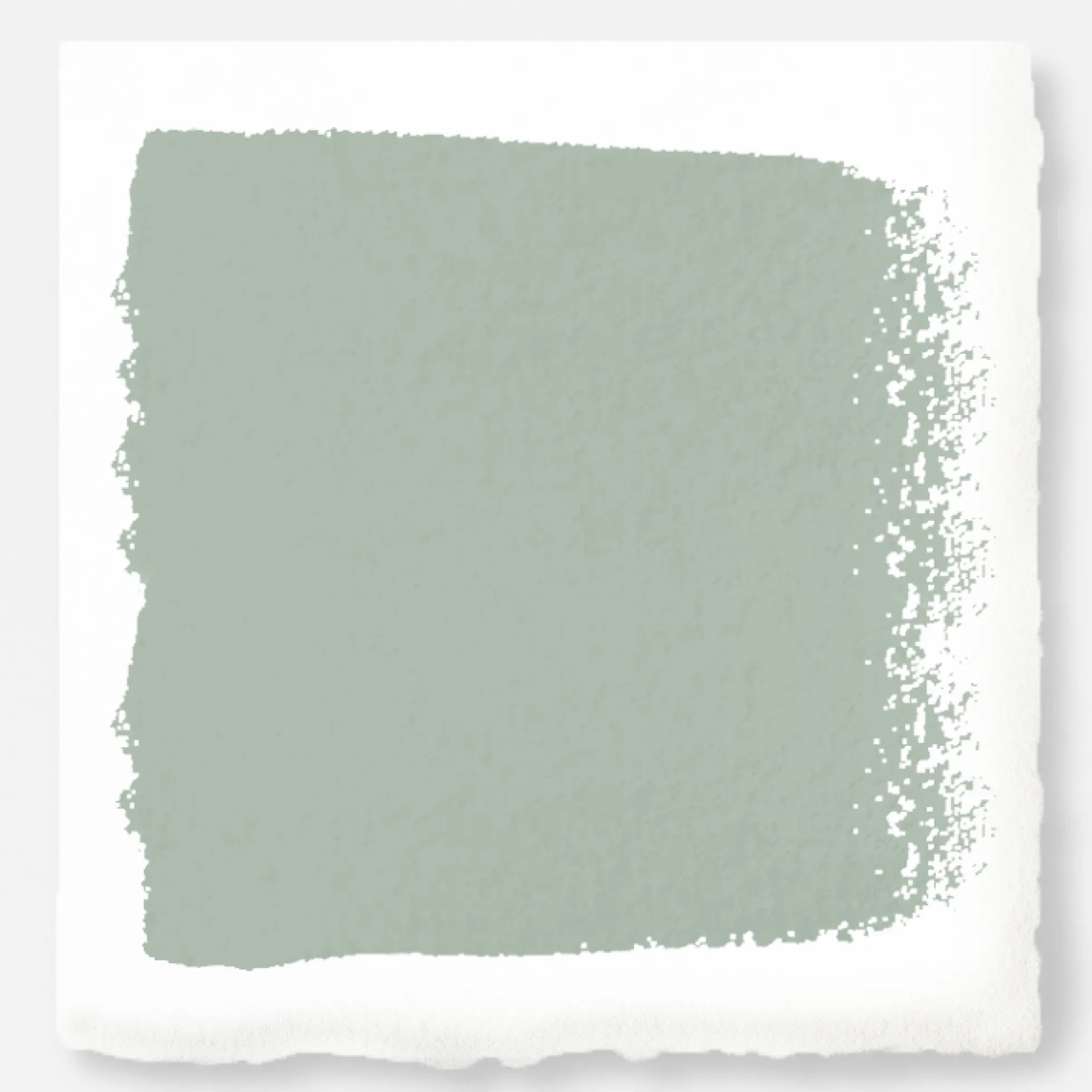 Freshly Cut Stems - Premium Interior Paint