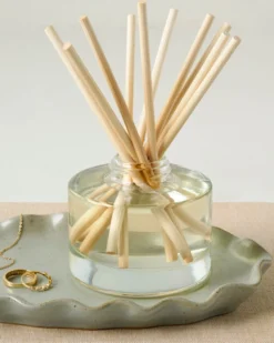 Fresh Start Diffuser