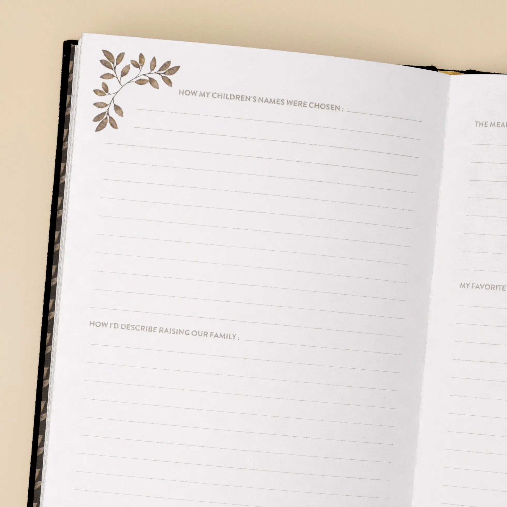 Grandpa's Story Journal