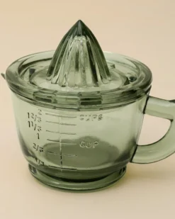 Green Glass Juicer