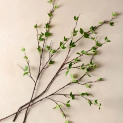 Green Leaf Branch