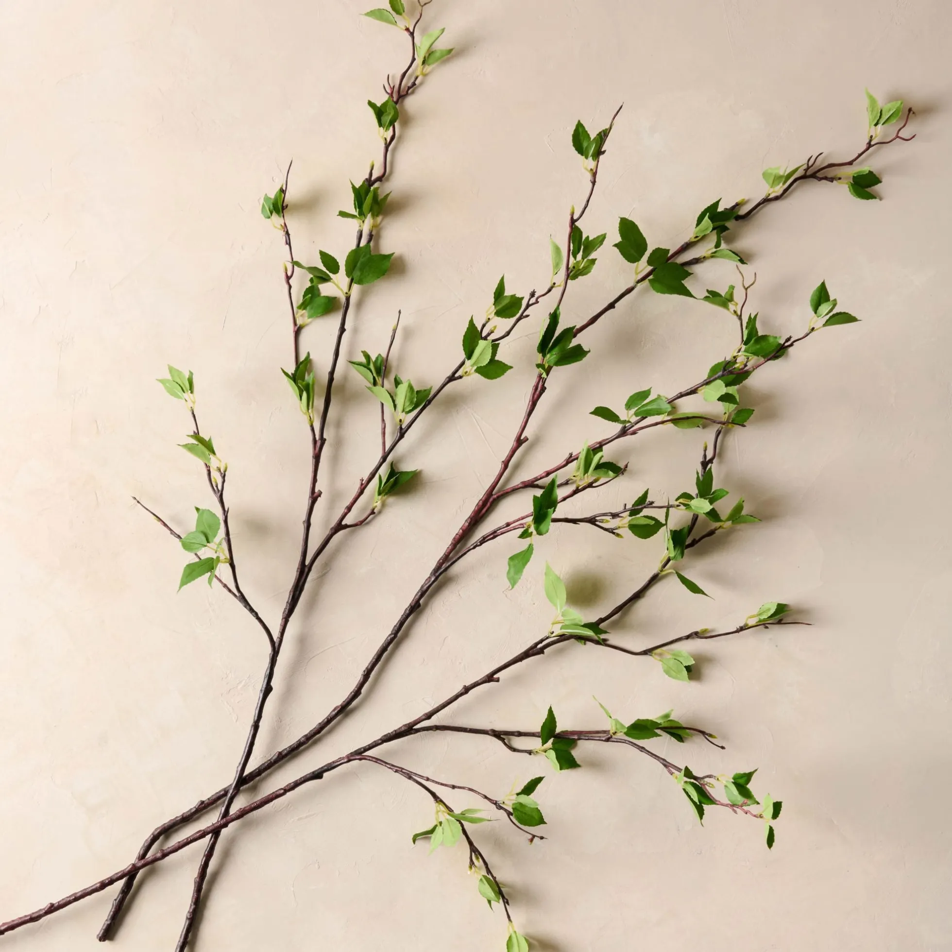 Green Leaf Branch