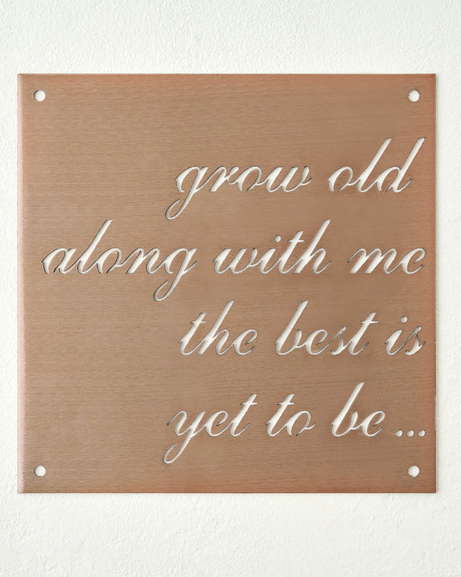 Grow Old Along With Me Sign
