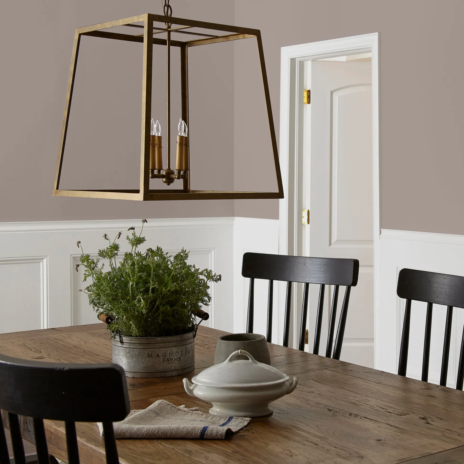 Homebody - Classic Interior Paint