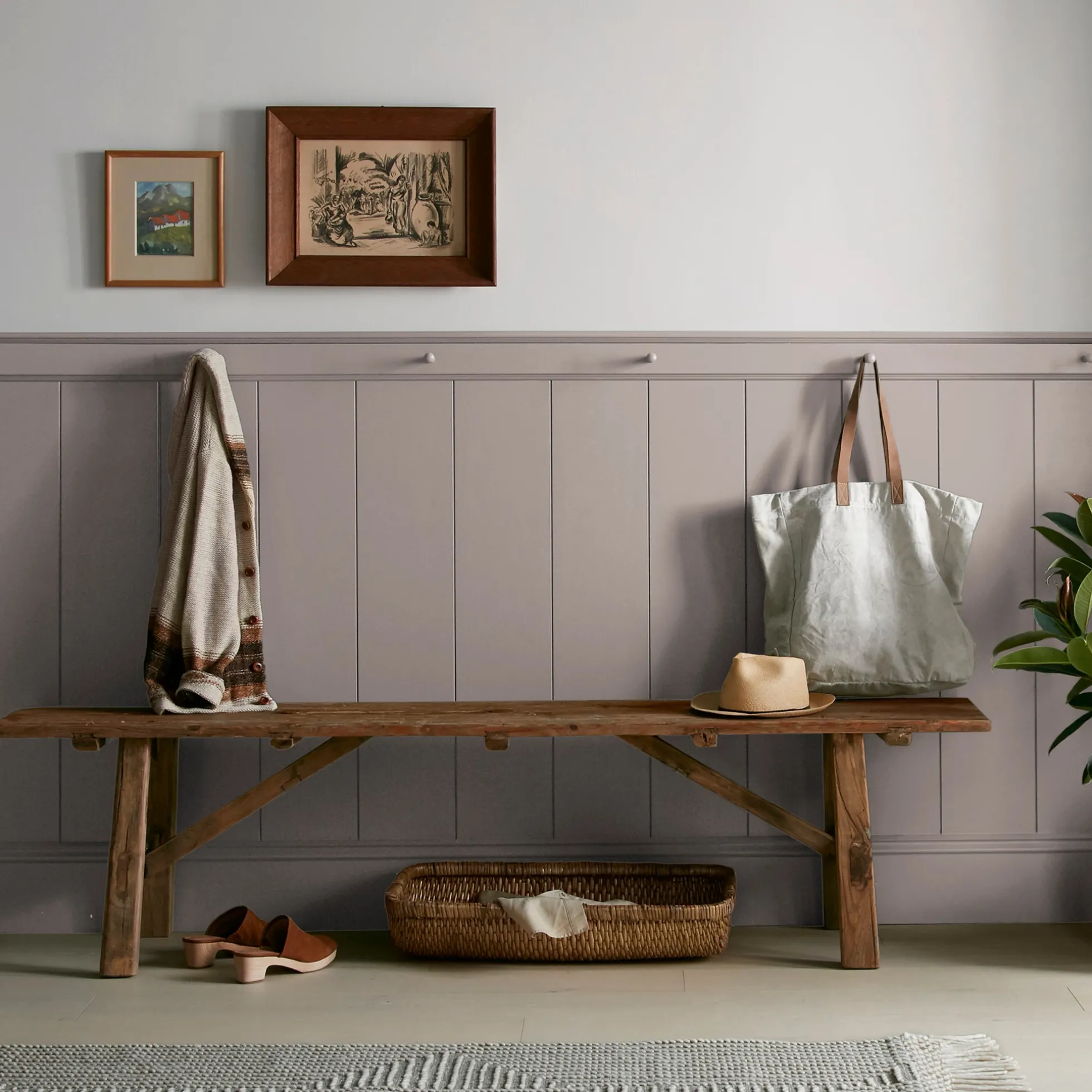 Homebody - Premium Interior Paint