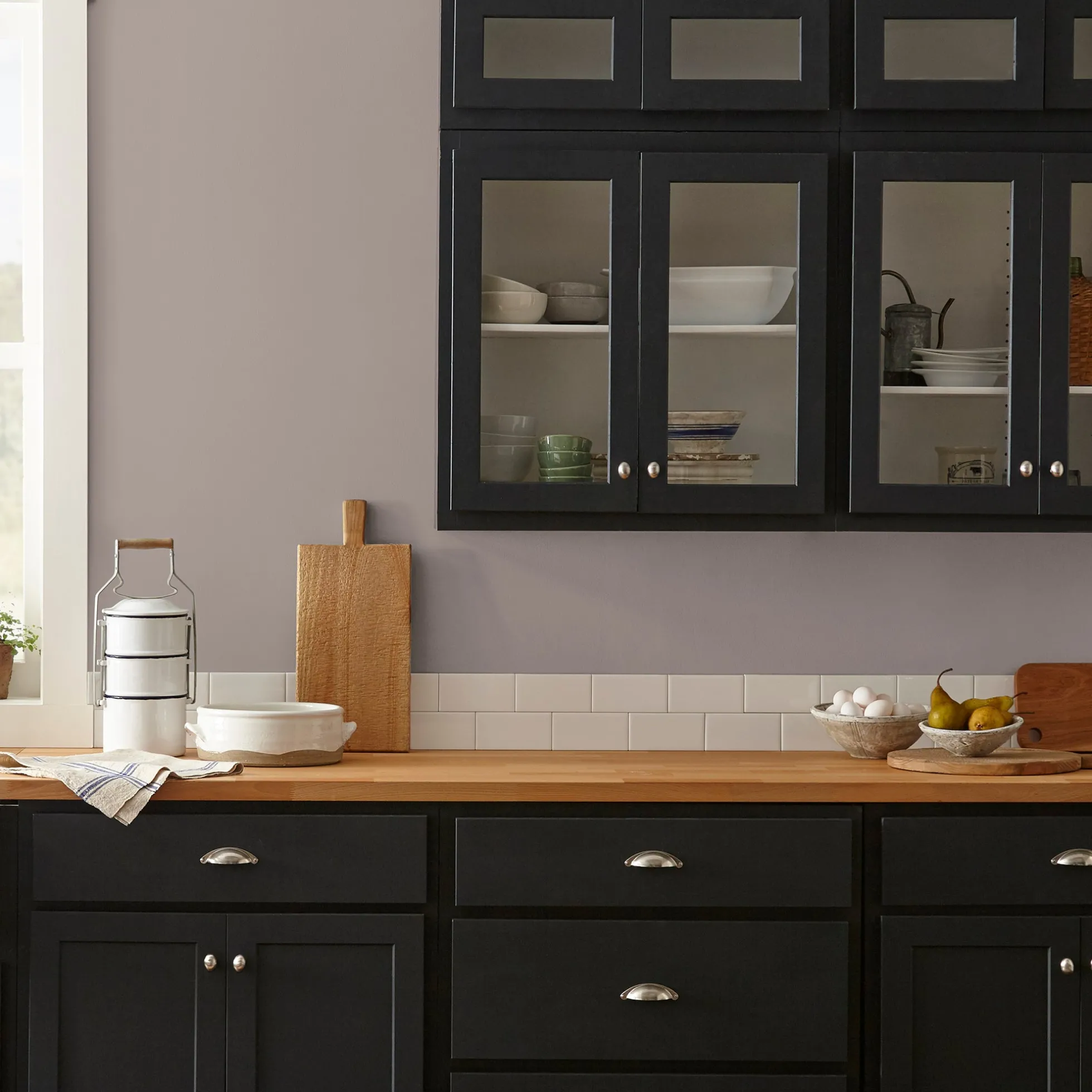 Homebody - Premium Interior Paint