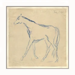 Horse Sketch
