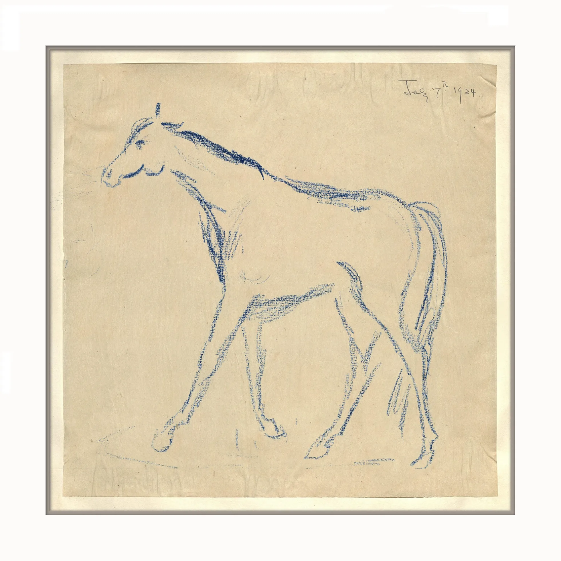 Horse Sketch