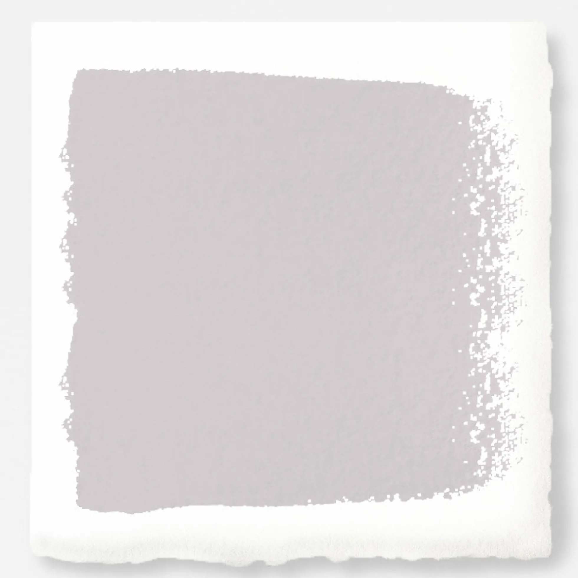 In Bloom - Classic Interior Paint
