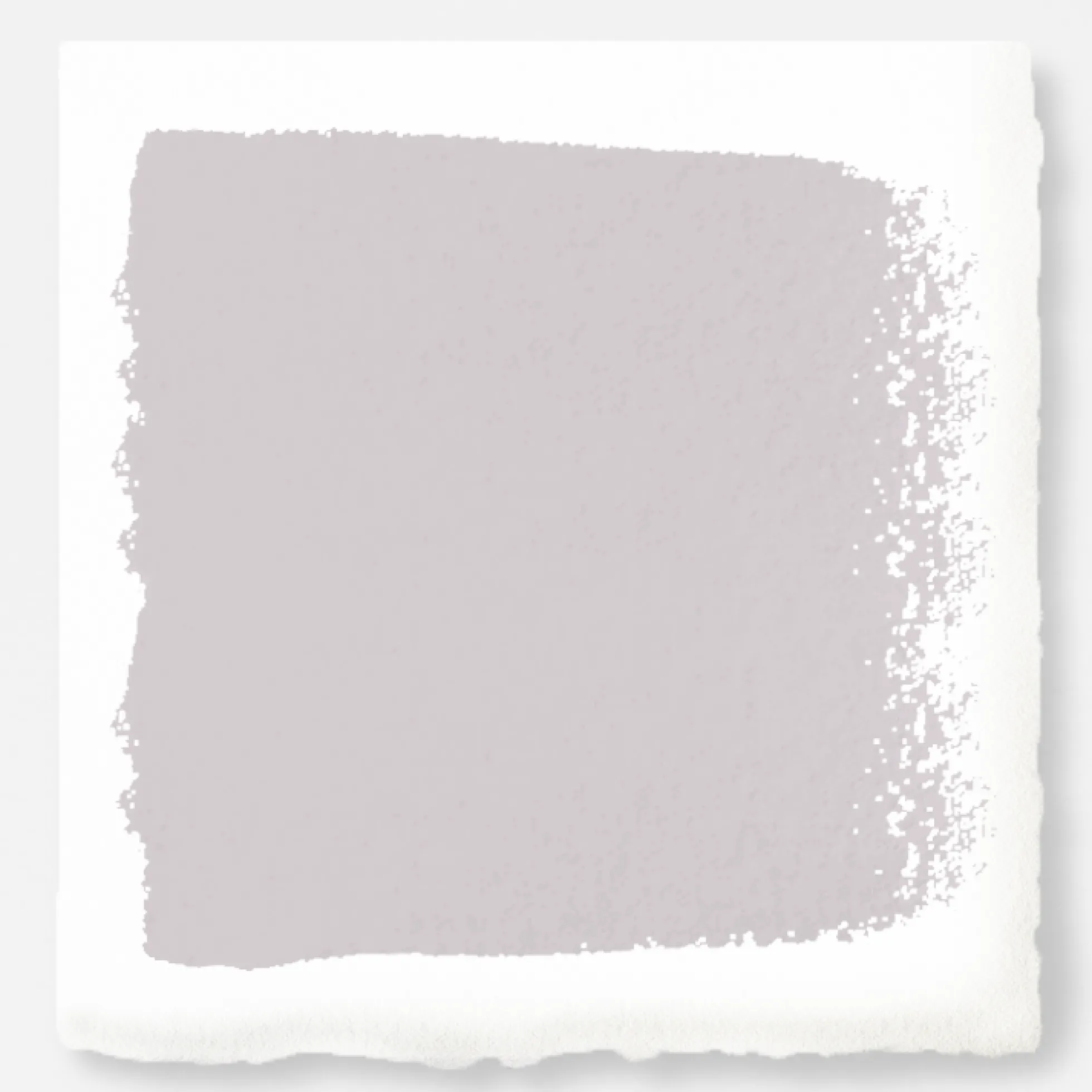 In Bloom - Premium Interior Paint