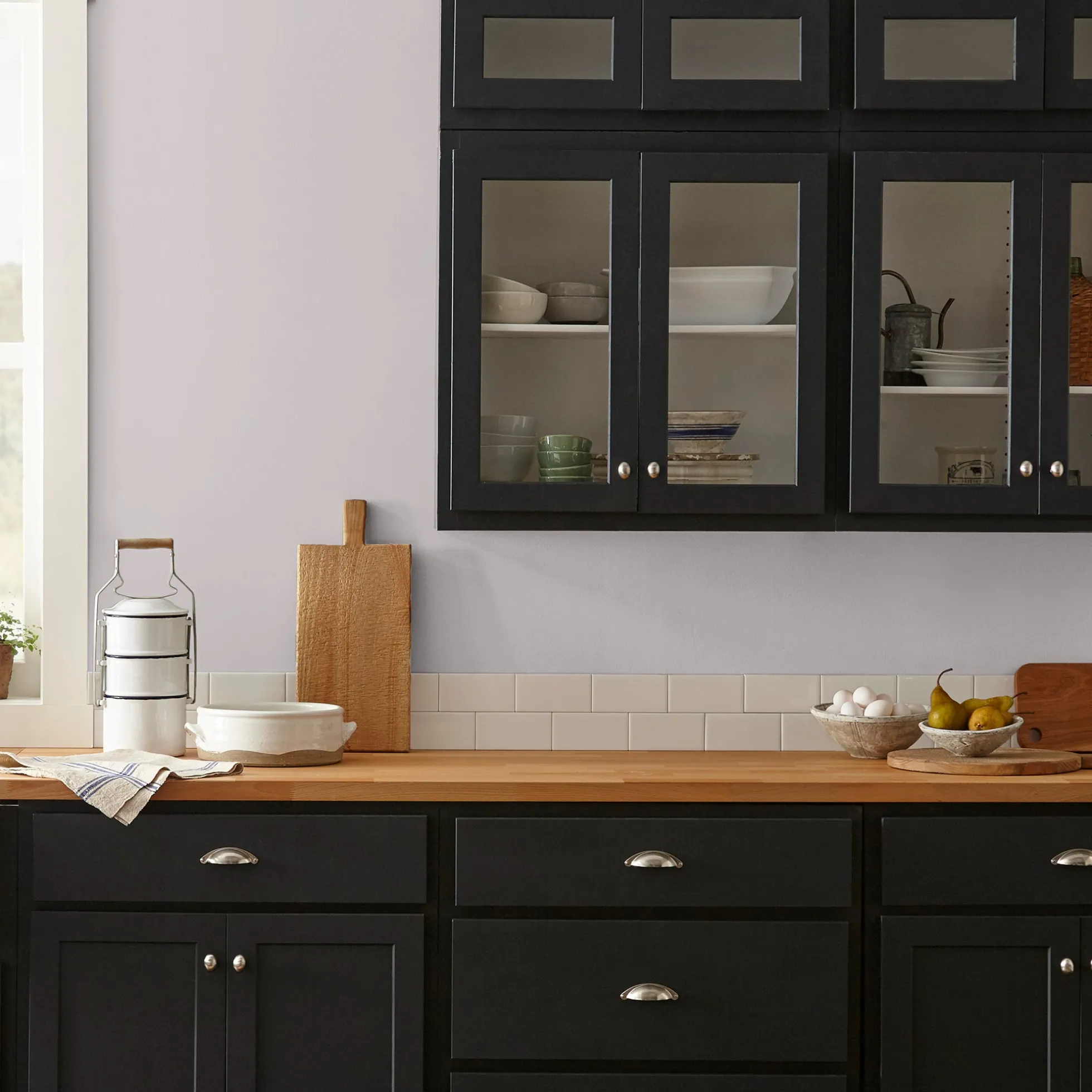 In Bloom - Premium Interior Paint