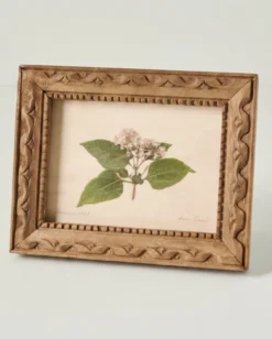 Jo's Hand Pressed Herbarium Prints - "From Crew" '23