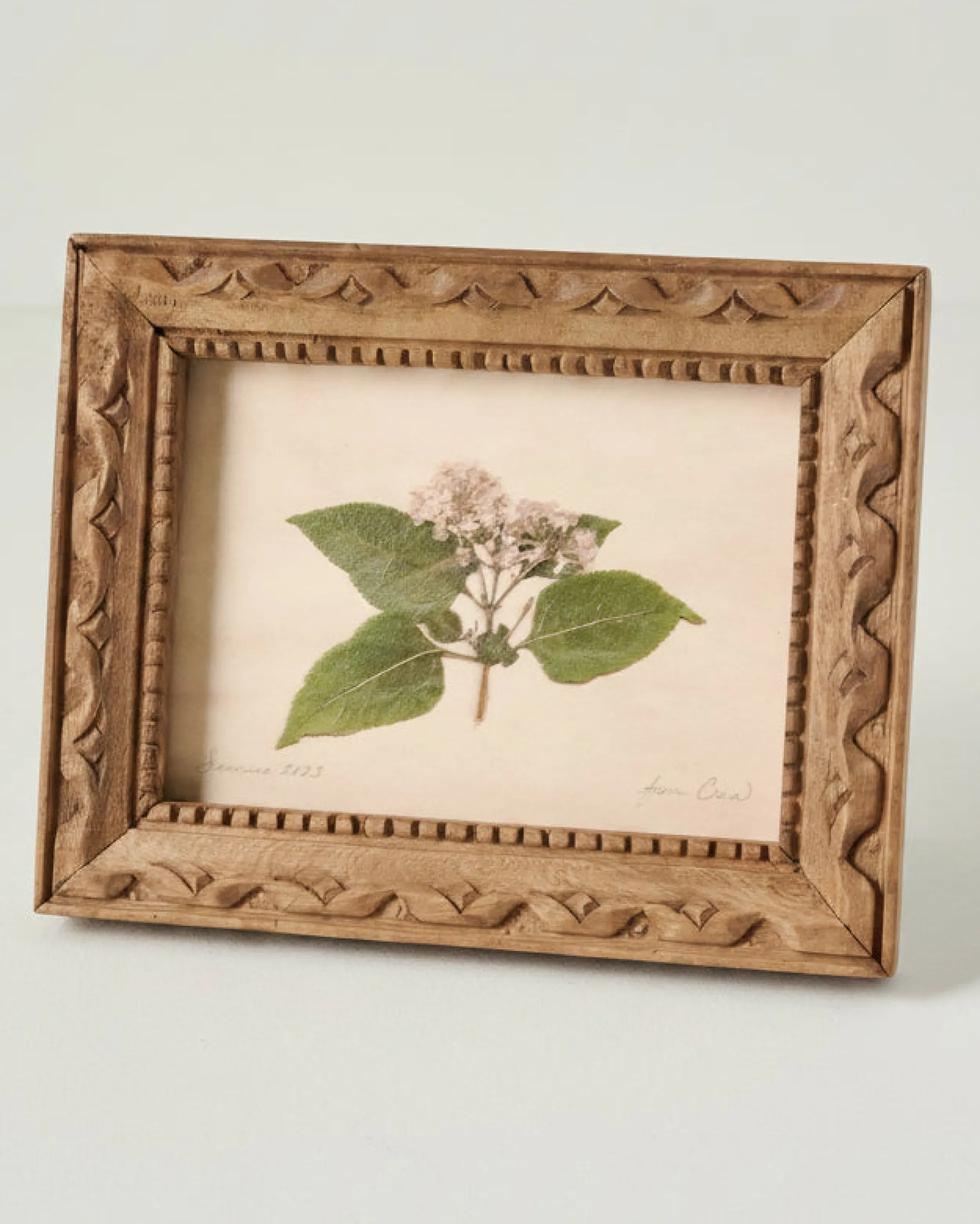 Jo's Hand Pressed Herbarium Prints - "From Crew" '23