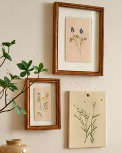 Jo's Herbarium Ceramic Wall Plaque - Collected Daisies
