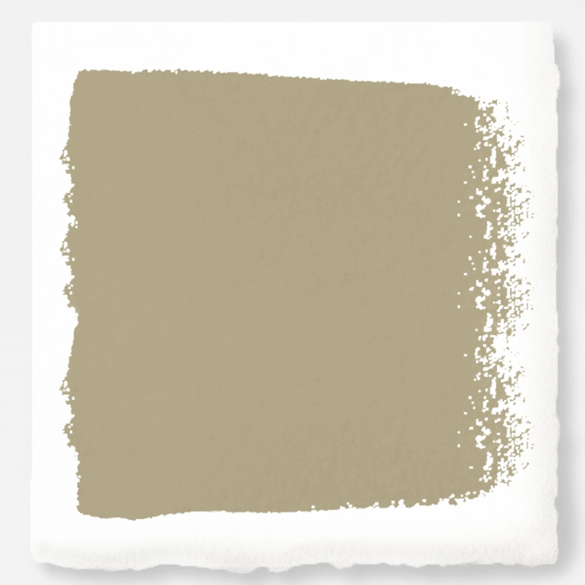 Juniper Tree - Chalk Style Paint