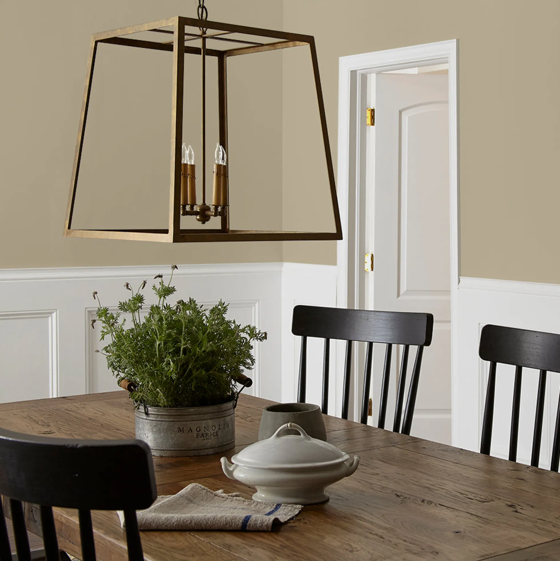 Juniper Tree - Classic Interior Paint