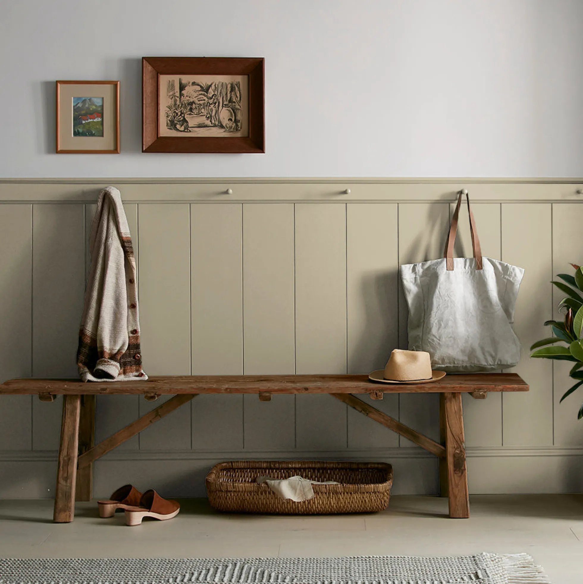 Juniper Tree - Classic Interior Paint
