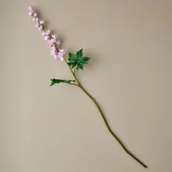 Larkspur Stem