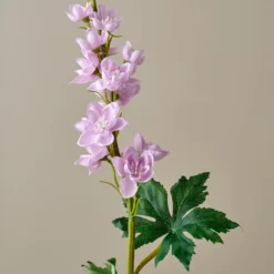 Larkspur Stem
