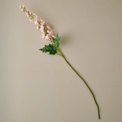 Larkspur Stem
