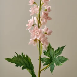 Larkspur Stem