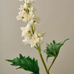 Larkspur Stem